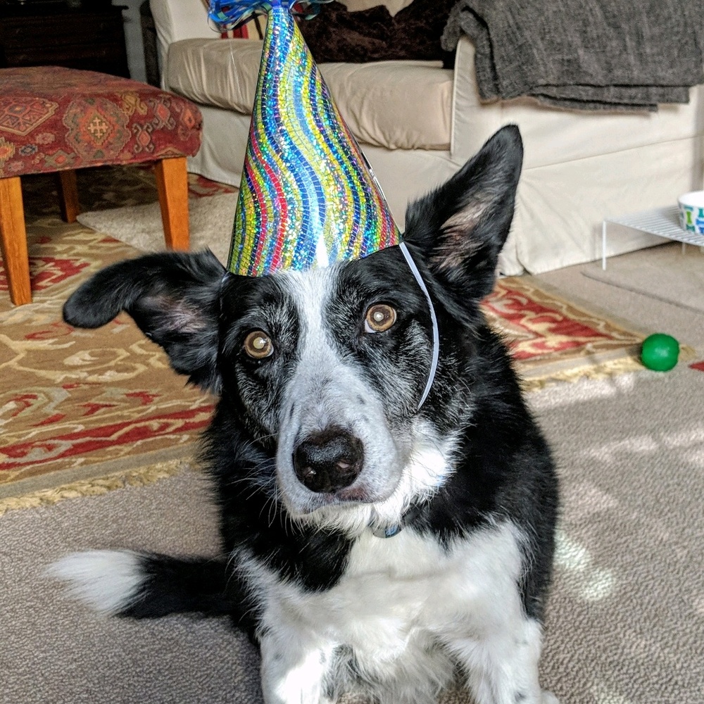 Meet your Posher, Nancy